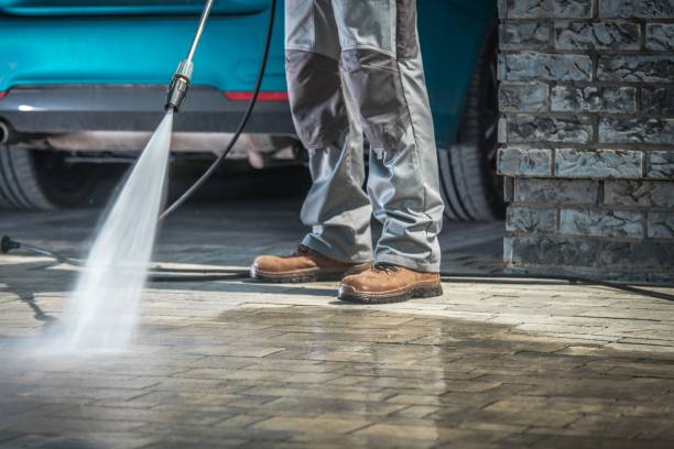 Best Winterizing Services  in Denton, MD