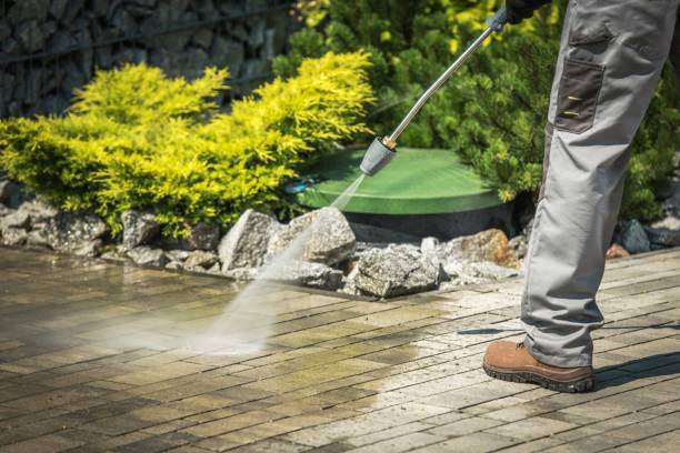 Best Dumpster Area Cleaning  in Denton, MD