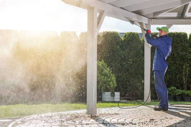 Best Graffiti Removal  in Denton, MD