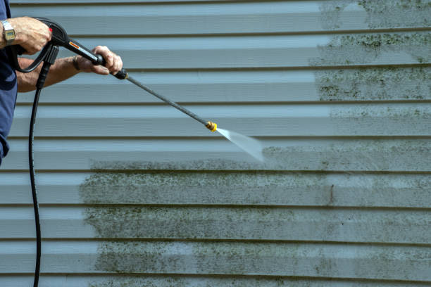 Best Solar Panel Cleaning  in Denton, MD