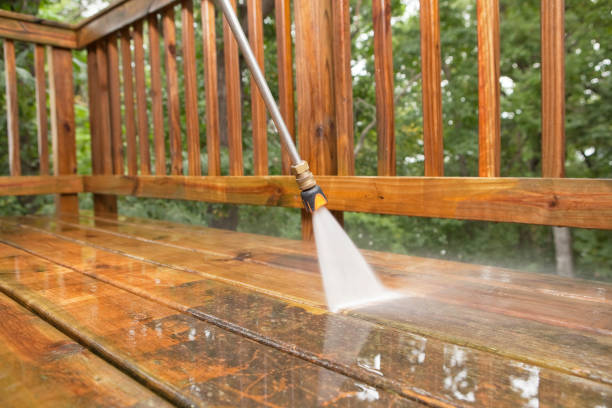 Best Restaurant Pressure Washing  in Denton, MD